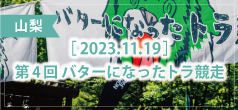 第4回 バターになったトラ競走